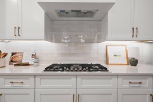 82-web-or-mls-Elm-Twilight-23